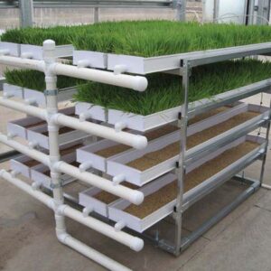 Theron Hydroponics Fodder Kit 2