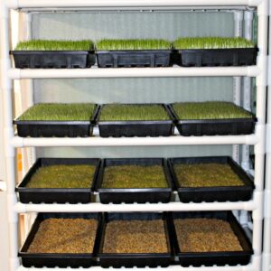 Theron Hydroponics Fodder Kit 1