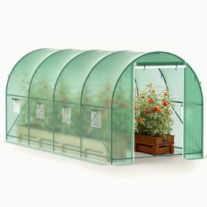 Personal Greenhouse