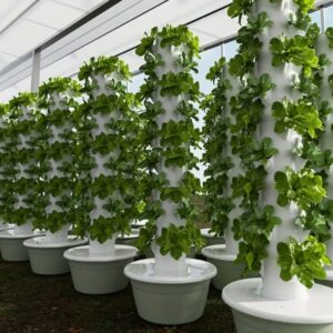 Vertical Hydroponics Growers Home or Commercial
