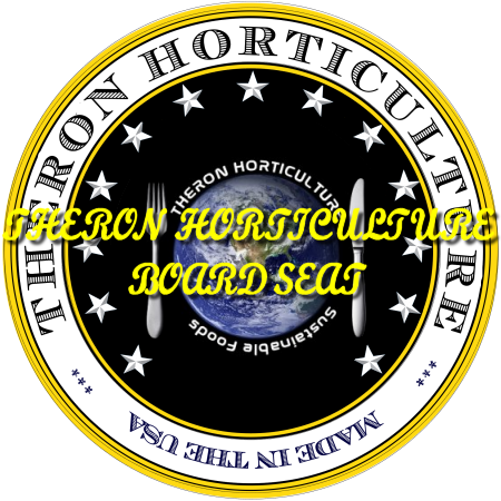 thorfortune casino